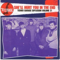 VARIOUS ARTISTS - SHE'LL HURT YOU IN THE END