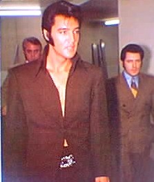 Elvis Presley - All in brown