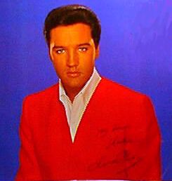 Elvis Presley - Portrait