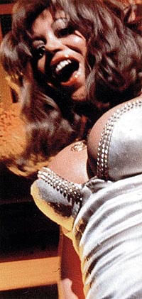 Kitten Natividad