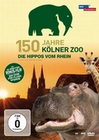 150 Jahre Klner Zoo - Die Hippos vom Rhein