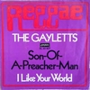 GAYLETTS