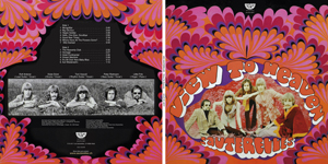 Les Sauterelles View To Heaven 2017 Cover