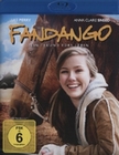 Fandango - Ein Freund fürs Leben