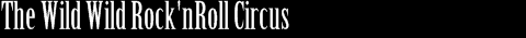 the wild wild rock n roll circus