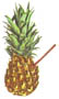 Tiki Surf Hawaii...