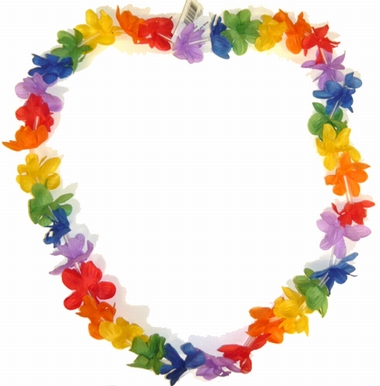 10 PARTY LEI BLUMENKETTEN auf einer Brienz Wunschliste / Geschenkidee